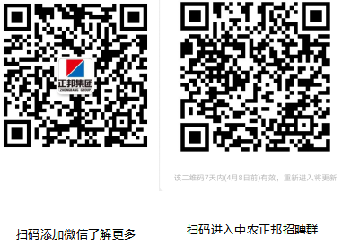 正邦招聘_北京时代正邦招聘 BOSS直聘(2)